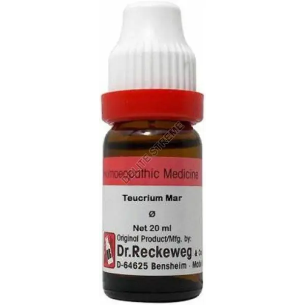 Dr. Reckeweg Teucrium Mar Mother Tincture Q